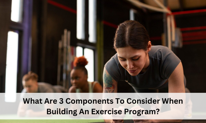 What Are 3 Components To Consider When Building An Exercise Program?